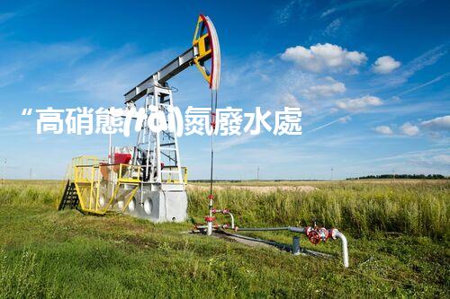 “高硝態(tài)氮廢水處理，綠色環(huán)保新篇章”